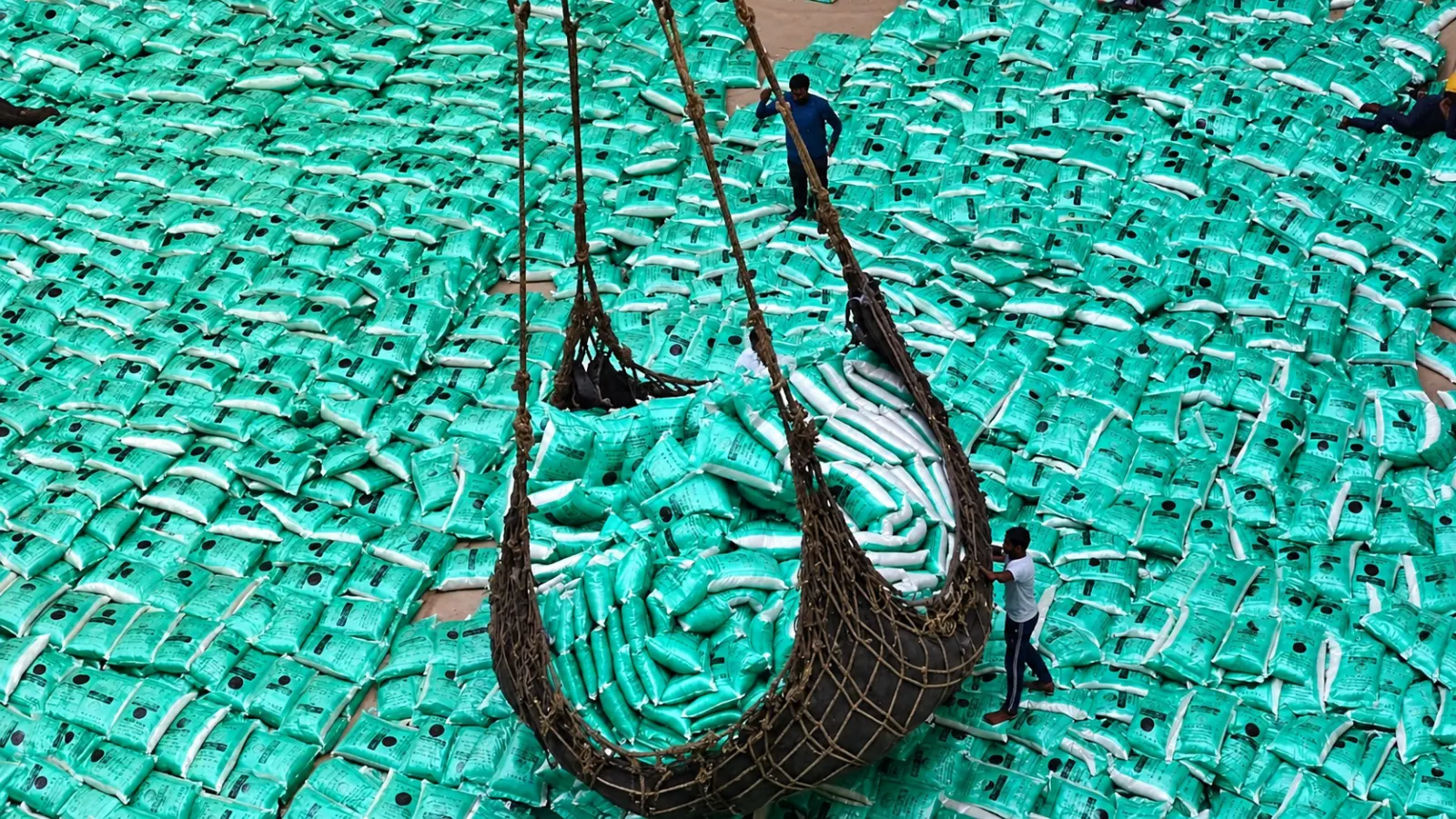 Bagged fertilizer lifted in a cargo sling