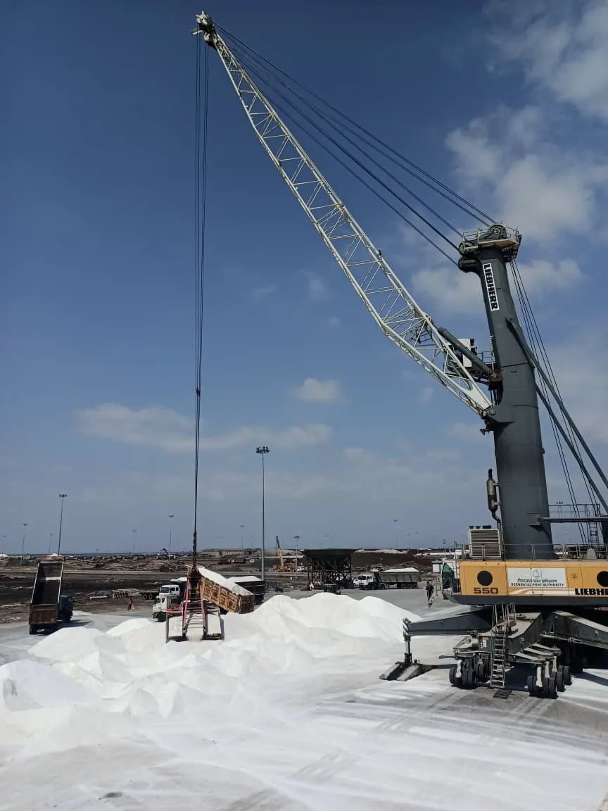 Mobile harbour crane loading salt at Deendayal Port, Kandla