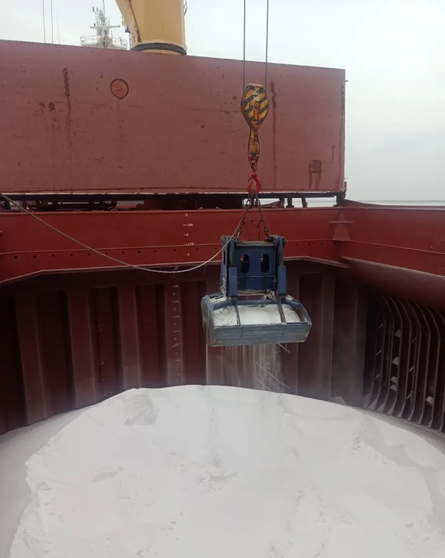 Grab loading bulk salt into a bulk carrier hold